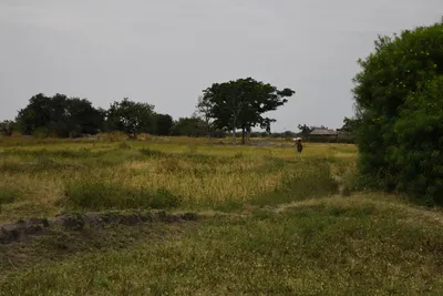 DSC_3140 (Large).JPG